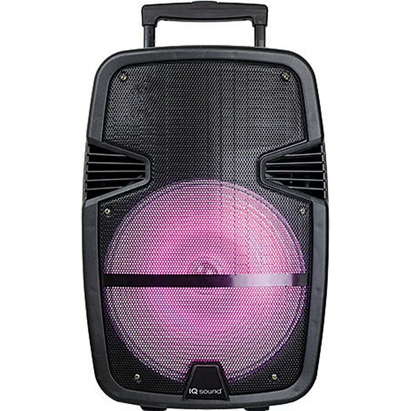 12" Portable Bluetooth® Dj Speaker 1