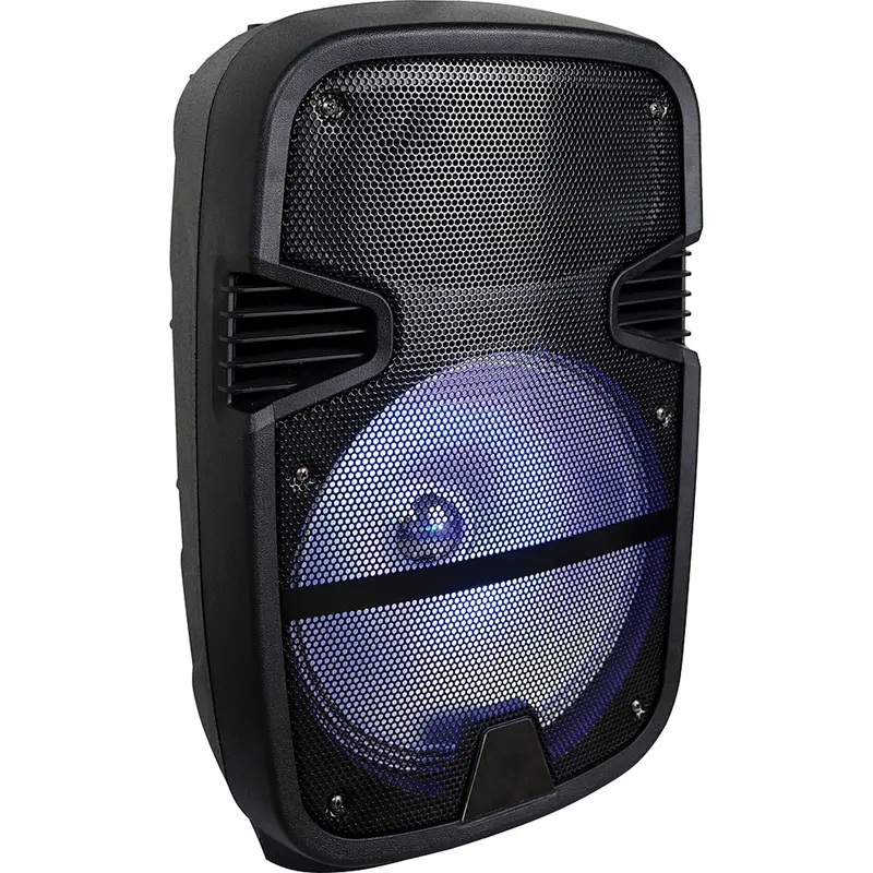 12" Rechargeable Speaker Bluetooth 1