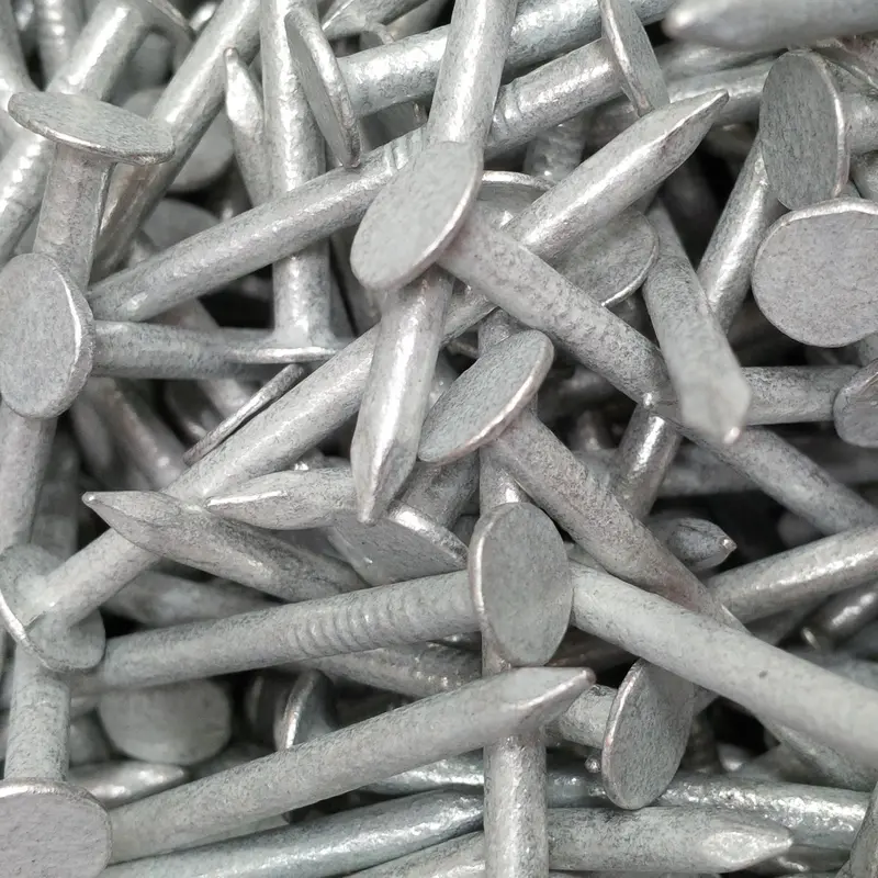 Galv Clout Nails - 40 X 2.65Mm 1