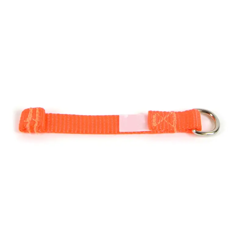 Heavy-Duty Webbing, D-Ring Attachment 2