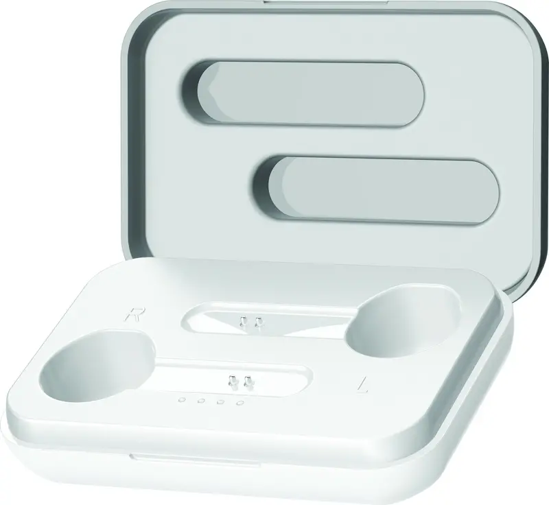 True Wireless Earbuds 1
