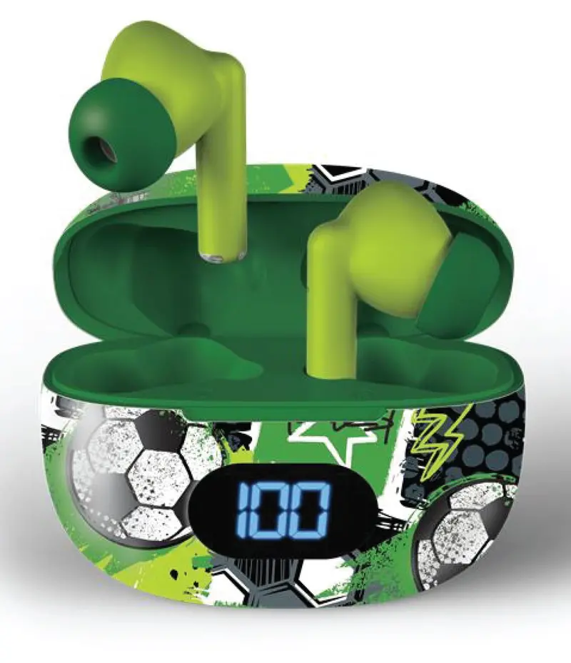 True Wireless Earbuds 1