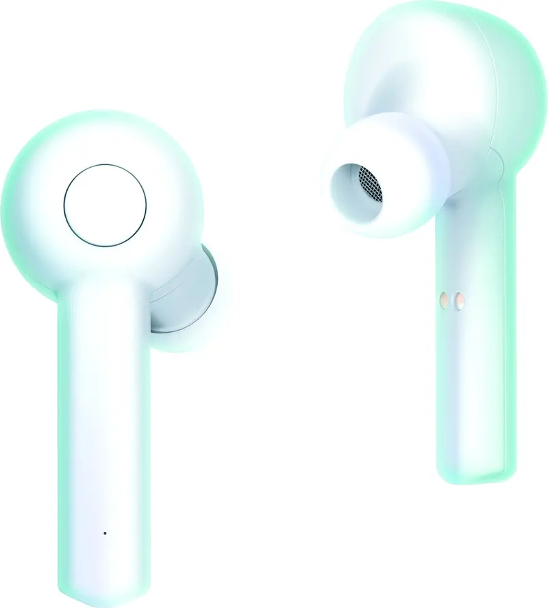 True Wireless Earbuds 1