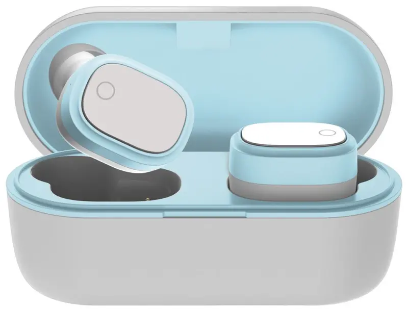 True Wireless Earbuds 1