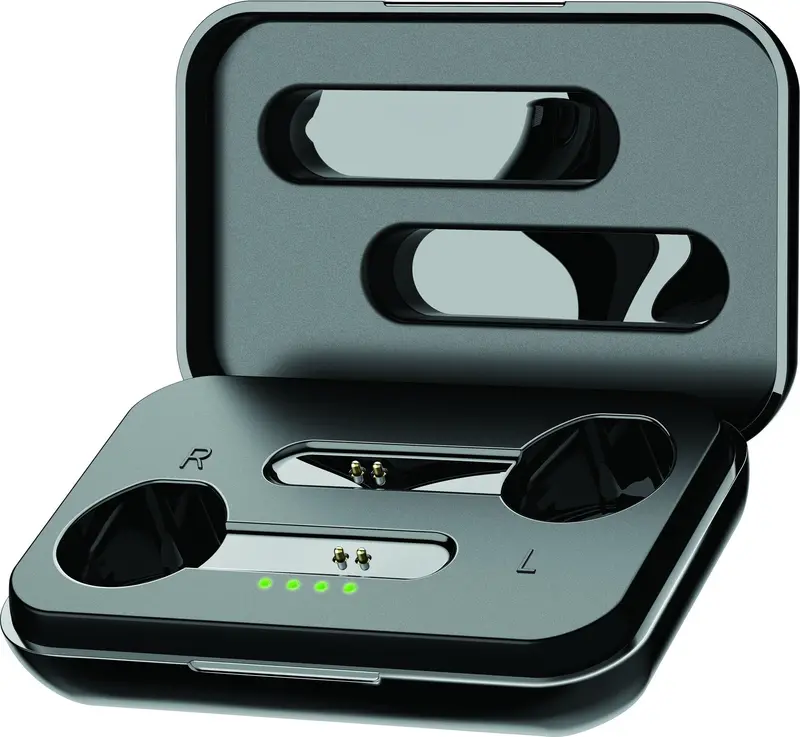 True Wireless Earbuds 1
