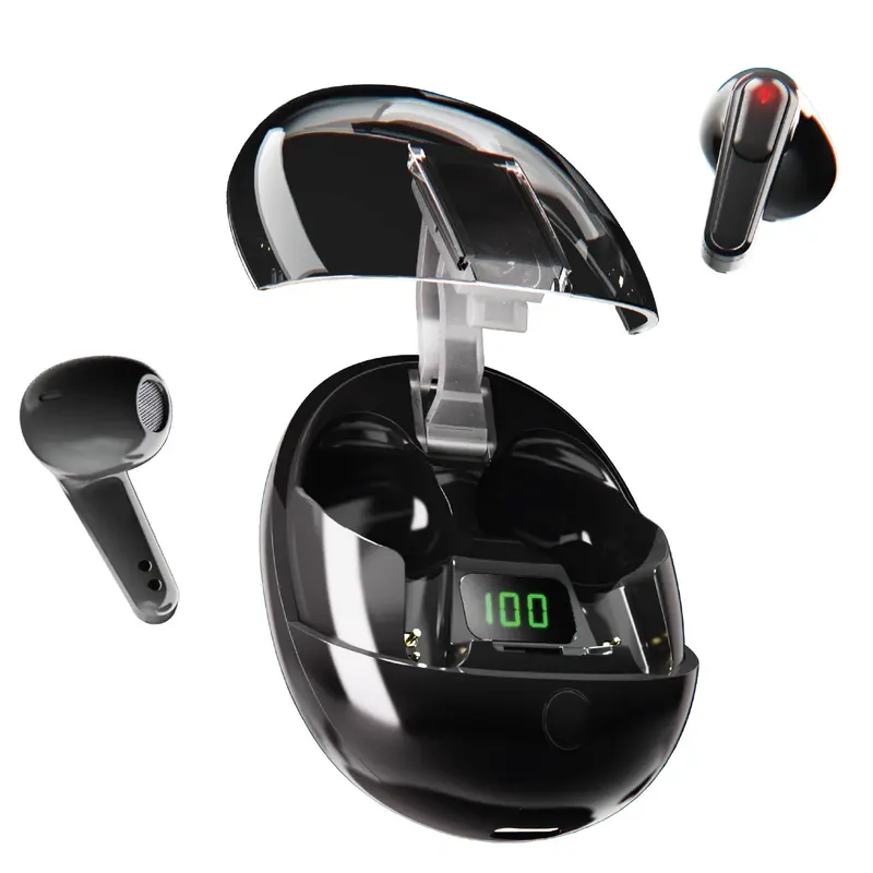 True Wireless Earbuds With Charging Case 1