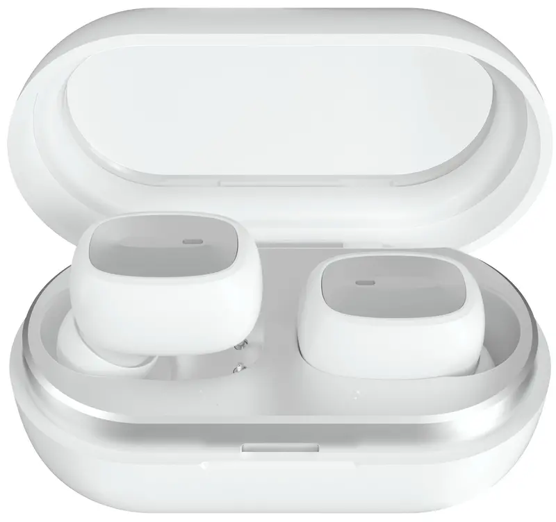 True Wireless Earbuds With Charging Case 1